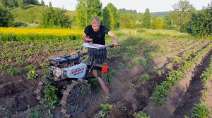 Самодельный дисковый окучник для мотоблока. Окучивание картофеля.