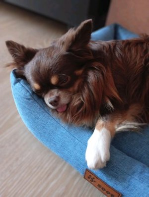 гннненененее хей ха хей хей эфир цех яйцо ведьмы Федя фал шеф центр заработала целая ваз