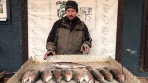 хороший улов форели у Николая