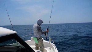 ПРОВЕРИЛИ ТОЧКУ ПОСЛЕ КАМБАЛЫ. Горбуша в троллинг в Приморье!