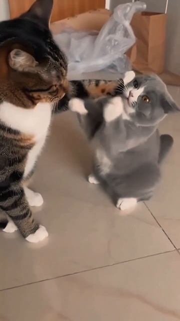 Ты ничего мне не сможешь сделать 🤣