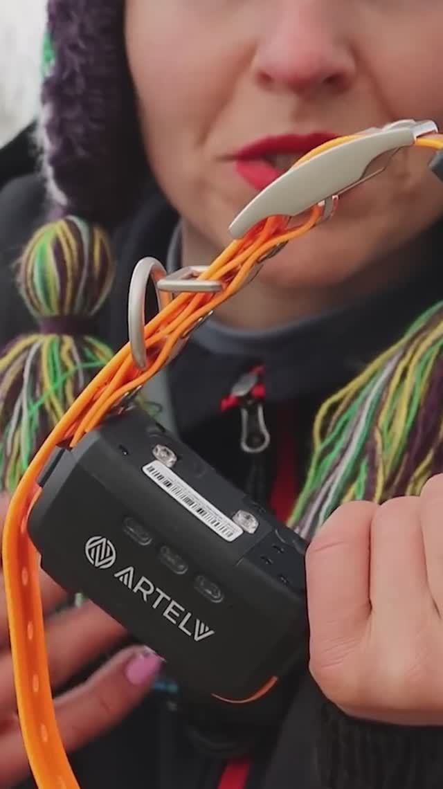 ARTELV TRACKER 2W — GPS-ошейник, который не даст собаке потеряться.