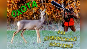 ДВЕ КОСУЛИ за выезд! Дальний выстрел 230м и БИТВА с ГРЯЗЬЮ | Охота в Оренбуржье