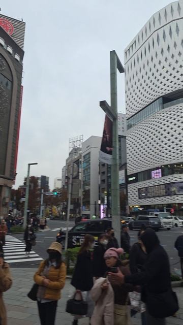 Соловей и кукушка, почему такие звуки у светофора? район Гинзо, Токио, Япония