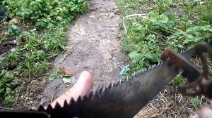 Cómo Afilar una Sierra con un archivo