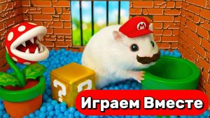 УМНЫЙ ХОМЯКА МАРИО ВЫБИРАЕТСЯ ИЗ ЛАБИРИНТА С МОНСТРАМИ И ЛОВУШКАМИ 🍄 ВИДЕО ПРО ХОМЯКА ДЛЯ ДЕТЕЙ