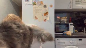 Некоторые не ведают, что творят. А мы готовимся к Новому году.