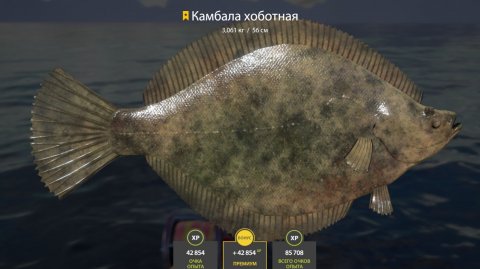 рр 4! Фарм море !!!*