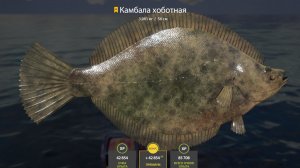 рр 4! Фарм море !!!*