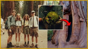 Туристы Исчезли в Лесах Северной Калифорнии в 1997 — 23 Года Спустя Находят Зацепку в Секвойе