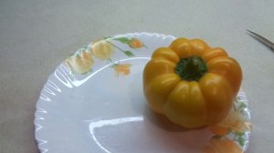 ТОЛСТОСТЕННЫЙ СЛАДКИЙ ПЕРЕЦ ЗОЛОТОЙ ЮБИЛЕЙ. 2020 год.