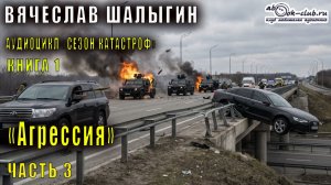 Вячеслав Шалыгин "Приключения Андрея Лунева" (книга 1) "Агрессия" (часть 3)