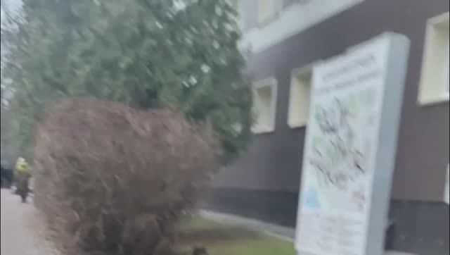 ЗДОРОВЬЕ (не купить)