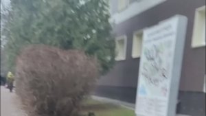 ЗДОРОВЬЕ (не купить)