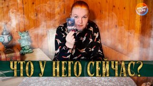 ДАВНО НЕ ВИДЕЛИСЬ! КАК ОН ПОЖИВАЕТ СЕЙЧАС? | Гадание таро расклад