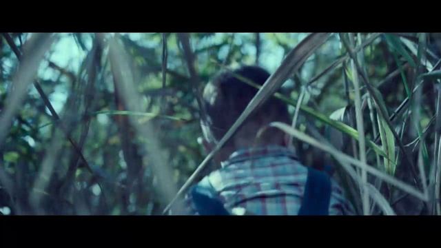 Я хотел быть пойманным (кф. Дом, который построил Джек)