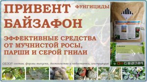 Привент и Байзафон - эффективные средства от мучнистой росы и парши из класса триазолы. Обзор