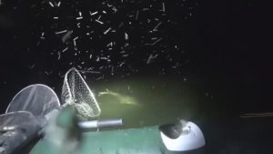 Лодку разворачивает!!!! 10 кило ЯРОСТИ ! СУПЕР РЫБАЛКА !