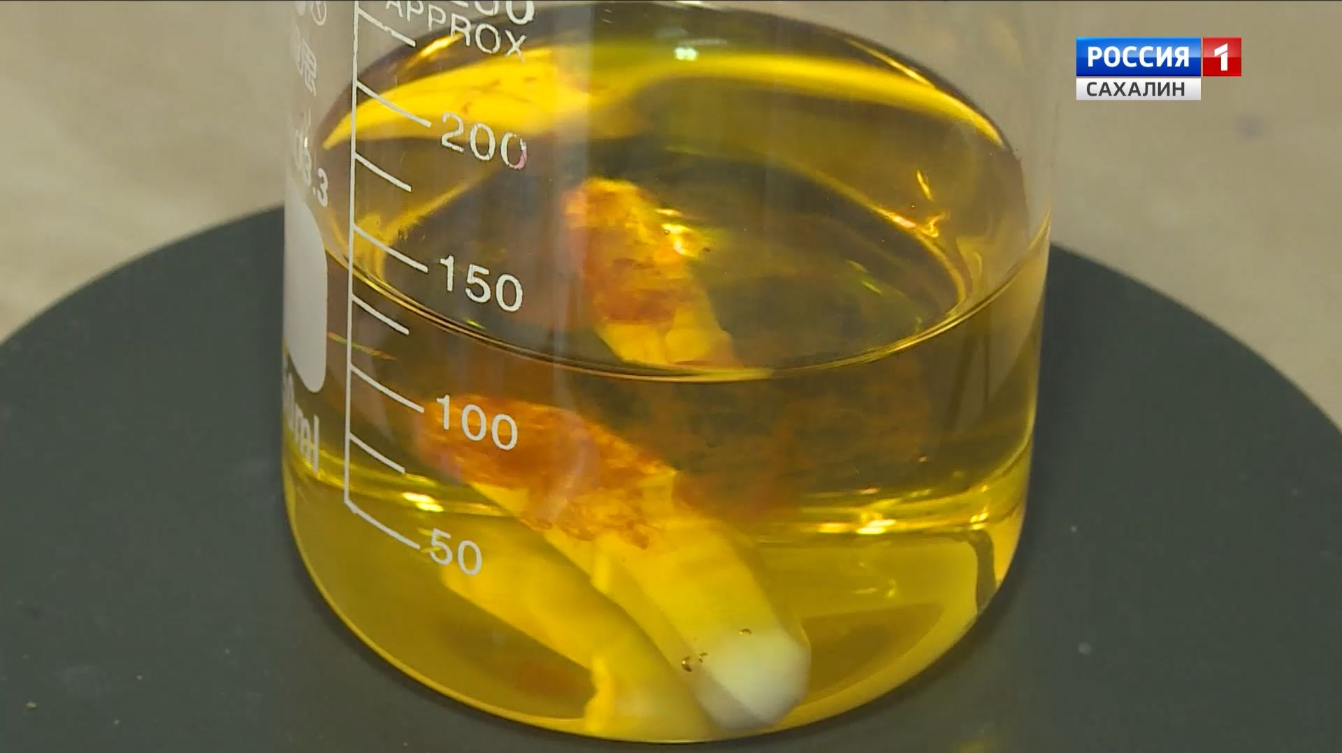 "Вести. Сахалин. Курилы". 3 декабря 2025 года смотреть онлайн