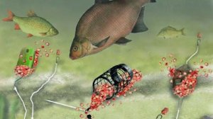 Донка, какая она Или Неочевидная ошибка.