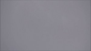 Голуби серпастые-2.12.2025.