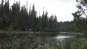 Строим Избу в Тайге Балаган Рыбалка в Тайге 2025 Сухопит