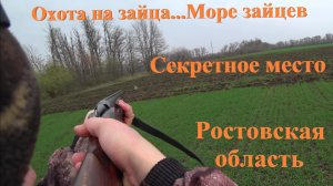 Охота на зайца...Море зайцев...Секретное место