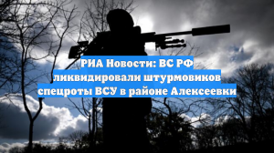 РИА Новости: ВС РФ ликвидировали штурмовиков спецроты ВСУ в районе Алексеевки