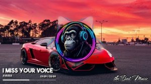 I Miss Your Voice - Avaria