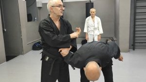 джиу-джитсу феникс