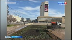 Клумбы в Ставрополе готовят к холодам