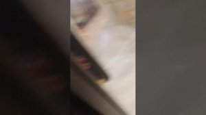 короче короче говоря я готовил чай на меня никто не подписывался