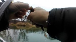 РЫБАЛКА НА ПОПЛАВОК.НАЛОВИЛ ПЛОТВЫ И ГУСТЕРЫ.РЫБАЛКА С ЛОДКИ.