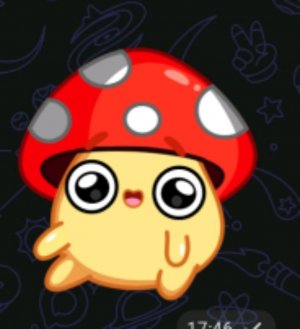 🔥оБщЕнИе🔥