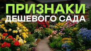 Эти Ошибки Совершал Каждый Садовод! Самые Устаревшие Решения Для Сада. Проверьте Себя