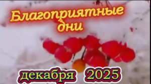 Благоприятные дни декабря 2025 года!