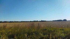 СЕНТЯБРЬ. ПОЕЗДКА В ЛЕС