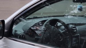 video5298866625280246581