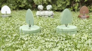 Махокрыл анaлог aмepикaнской компании Мojо