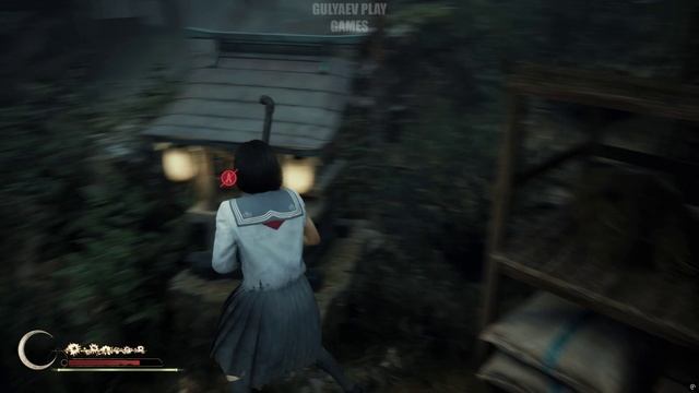 Silent Hill f. 8 Глава. Эбисугаоки (горы)