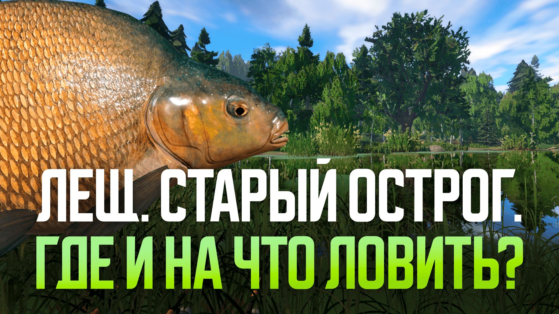 300-450 серебра за ночь. Лещ. Старый Острог ● Русская рыбалка 4 ● Перчик РР4 смотреть онлайн