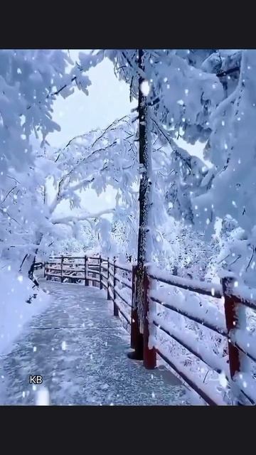 #katyboro #видео #видеооткрытка  #красивоевидео #shortvideo #shorts #short #video #зима #зима2025