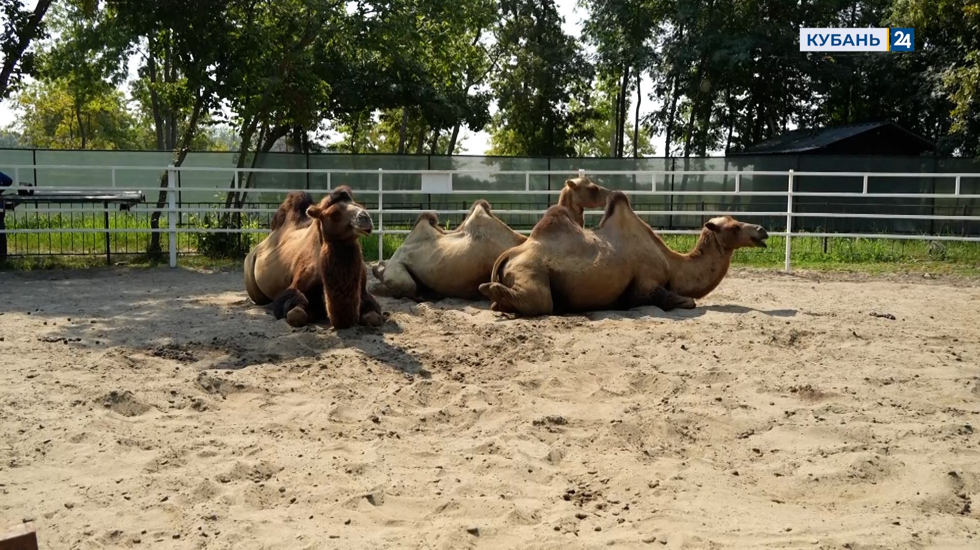 Агротуризм | Мир сельского хозяйства №87 | 11.11.25