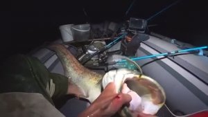 ОНО КУСАЛО РУКУ... НО Я ТАЩИЛ!!!! РЫБАЛКА НА СОМА И САЗАНА