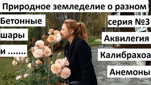 Природное земледелие о разном. Серия №3.