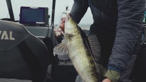 "РЫБОЛОВНЫЙ СПОРТ" Hot Spot Zander