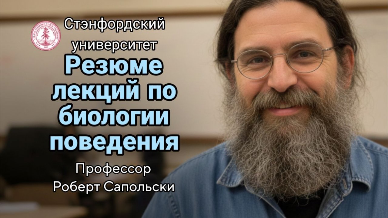 2- Эволюция поведения