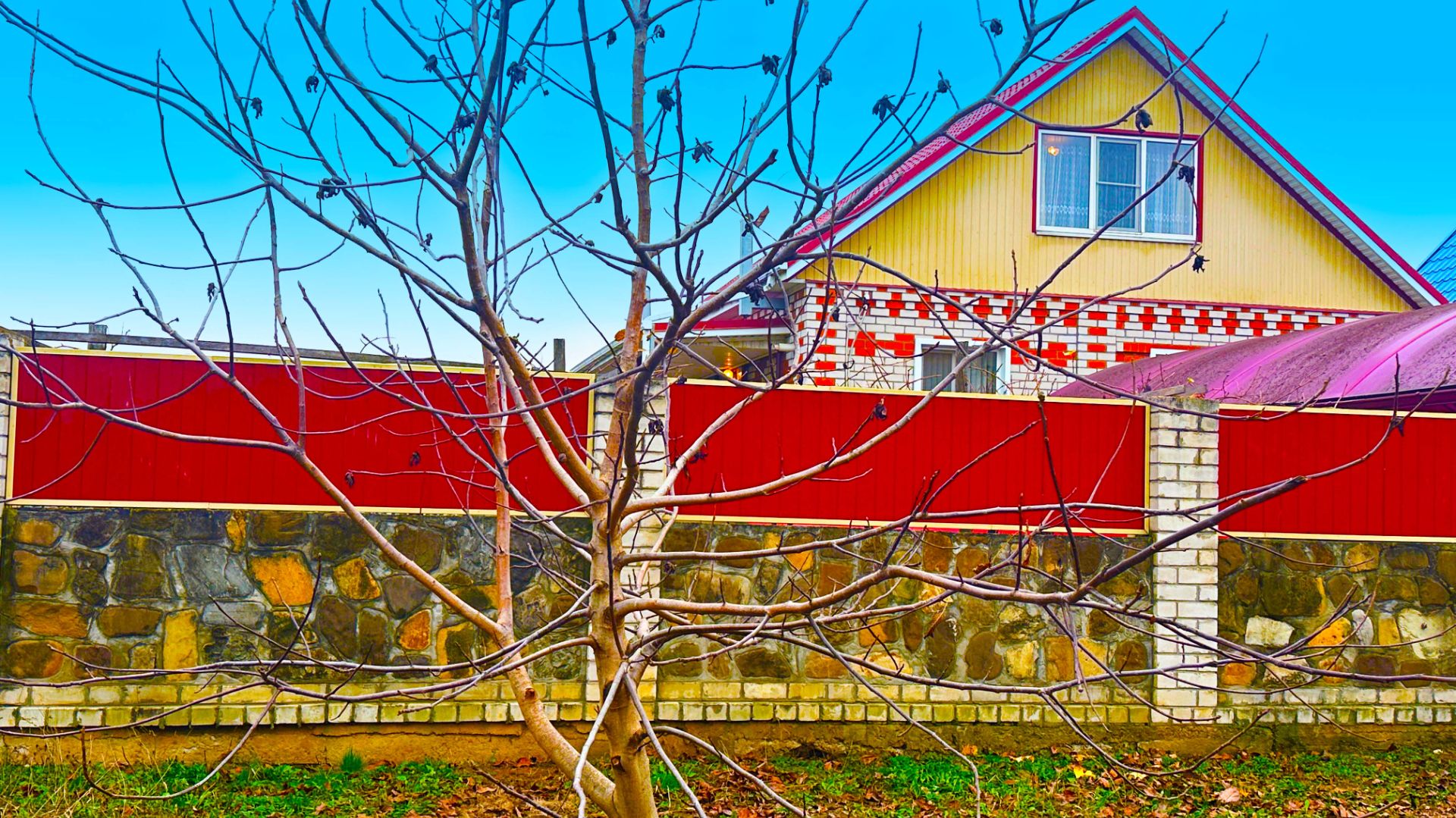 Просторный дом на большом участке с виноградником