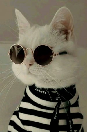 ИГРАЮ В МАЙНКРАФТ! (стрим)