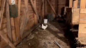 Муж испортил сюрприз! Электрика в доме готова.